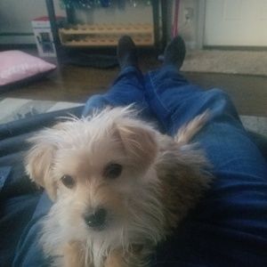 Meet your Posher, Tim